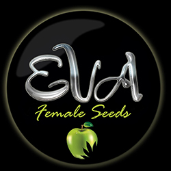 Eva Seeds