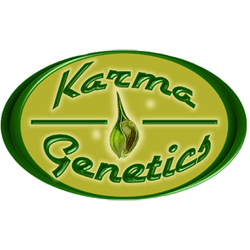 Karma Genetics Seeds