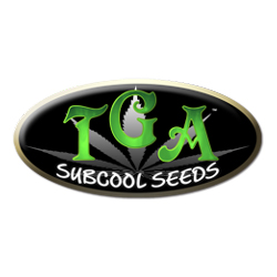 TGA Subcool Genetics Seeds